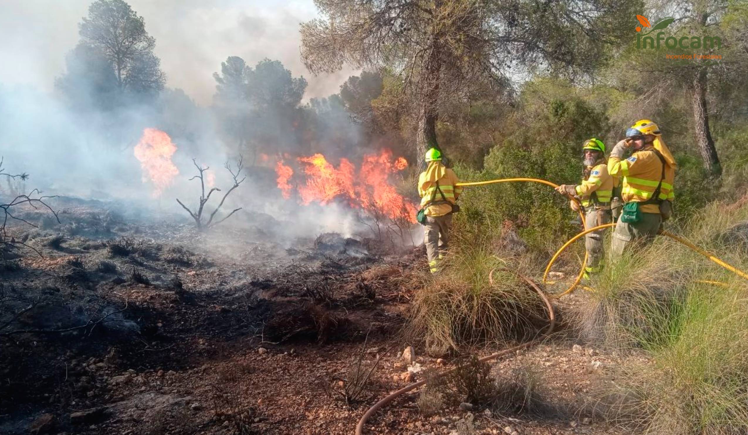 Efectivos del Plan Infocam combaten el incendio declarado este viernes en Hellín (Albacete)