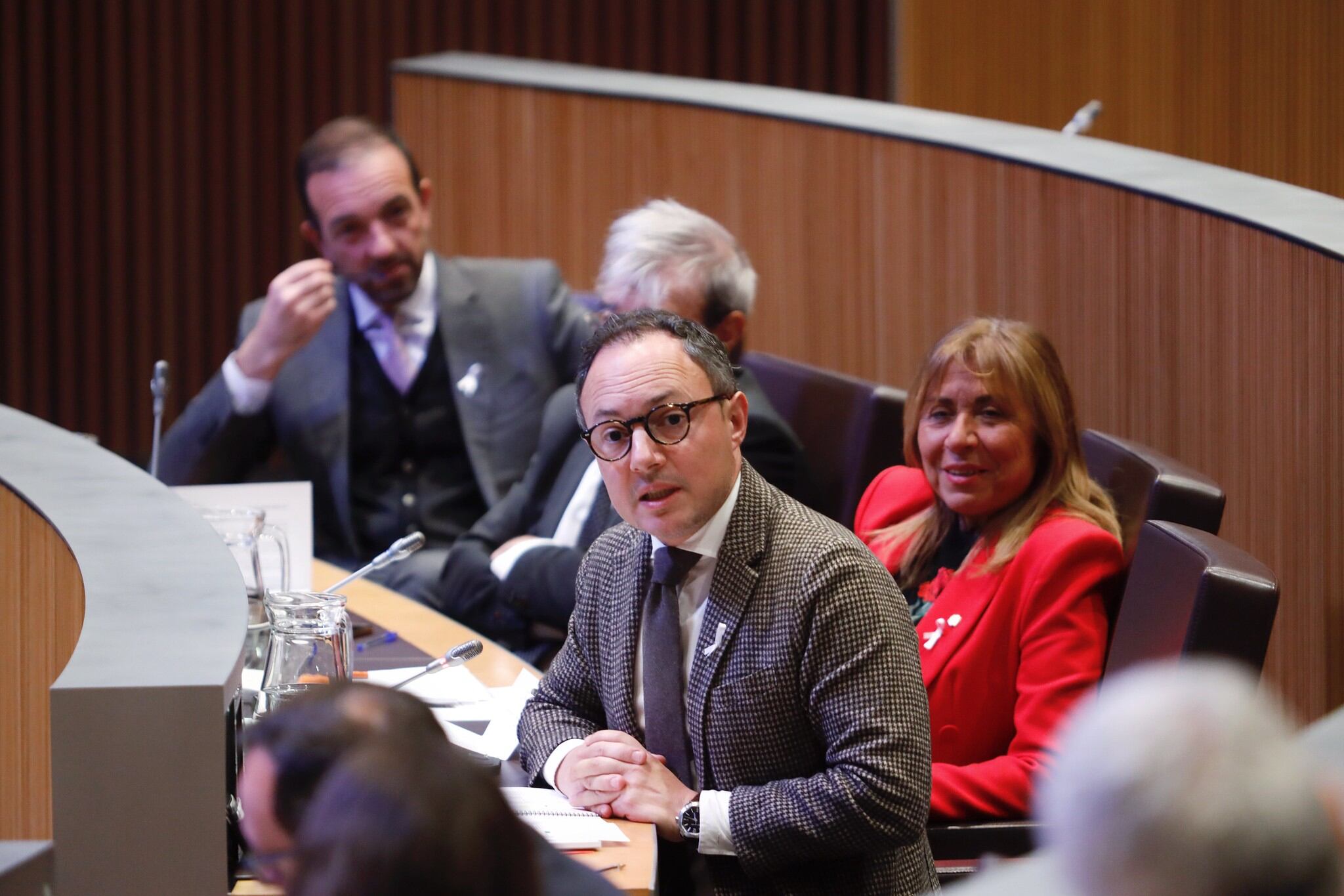 Espot durant una intervenció al Consell General.