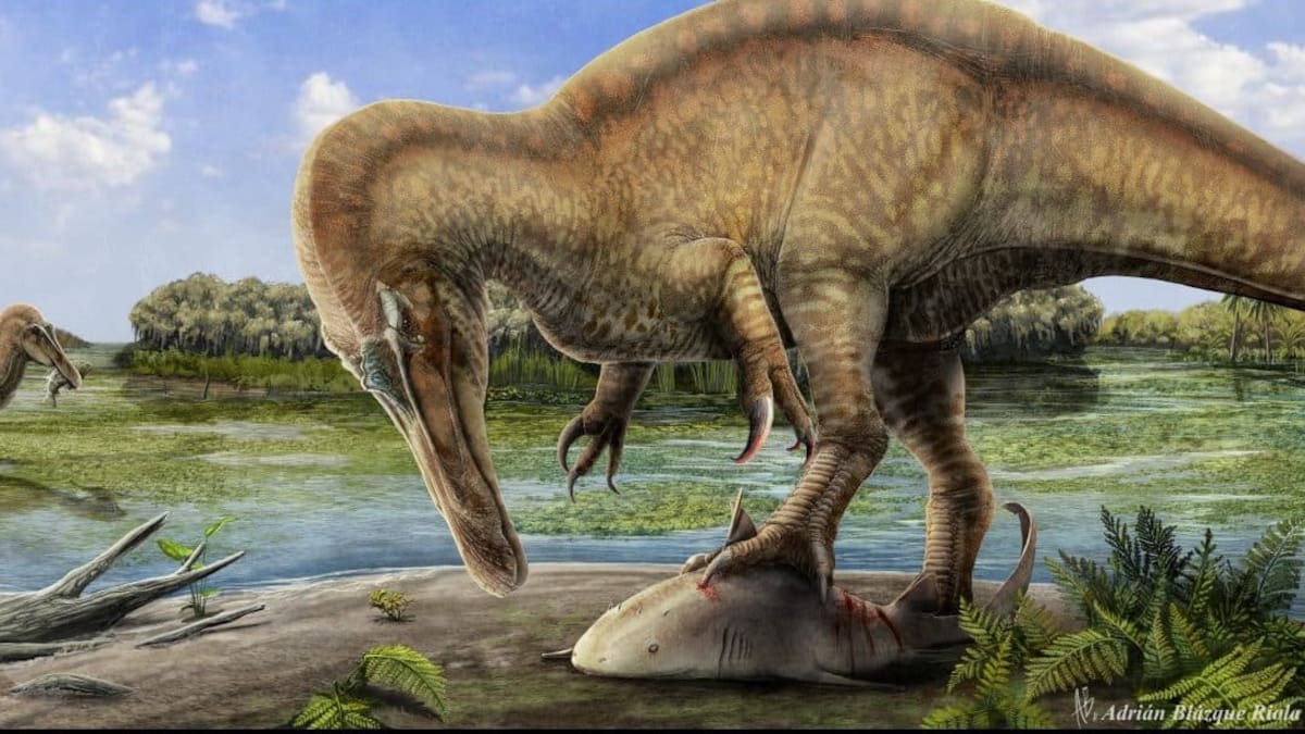 Nombre riojano para un nuevo género y especie de espinosáurido descubierto en Igea