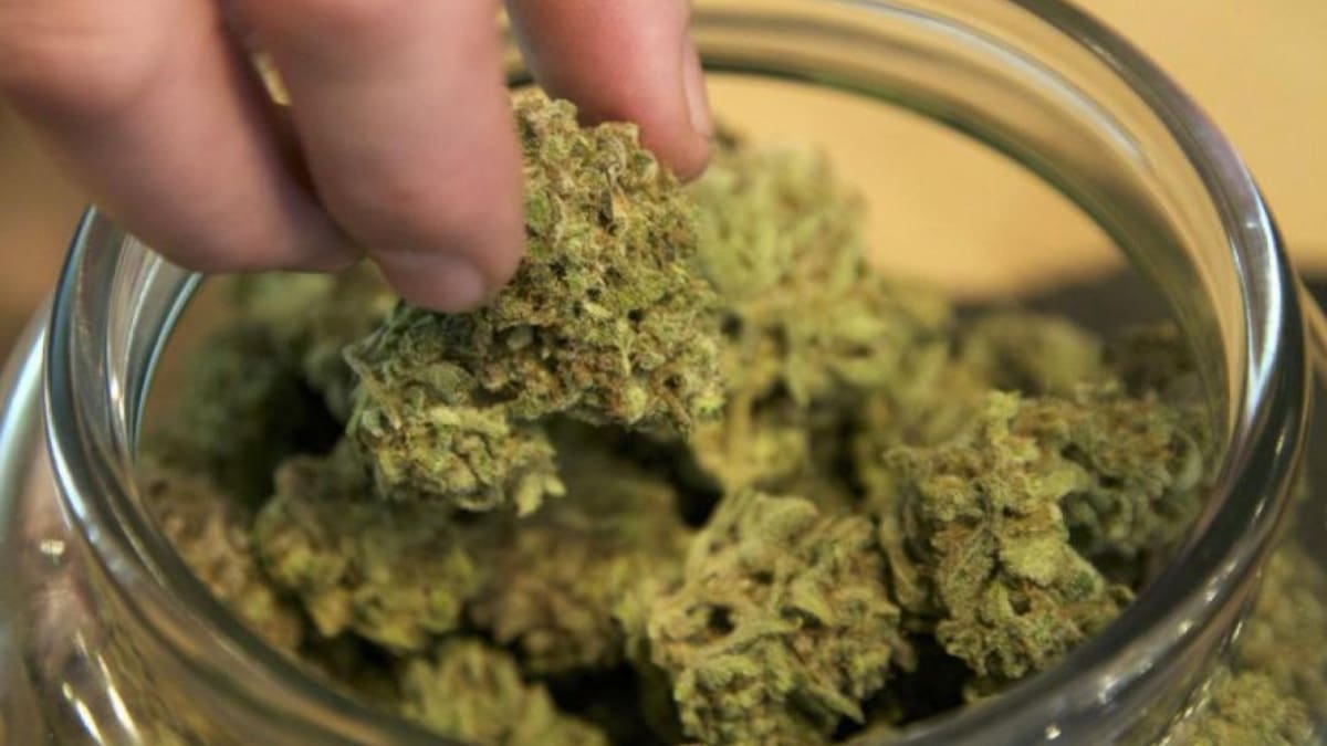 Piden la dimisión de Sergio García por su implicación en la fiesta en la que se sirvió marihuana