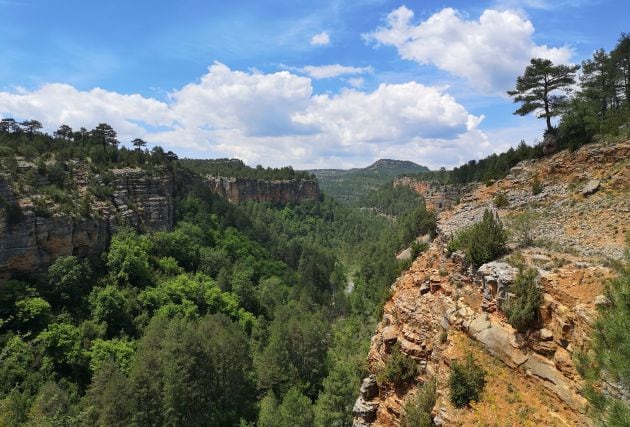 Paraje en el recorrido de la ruta.