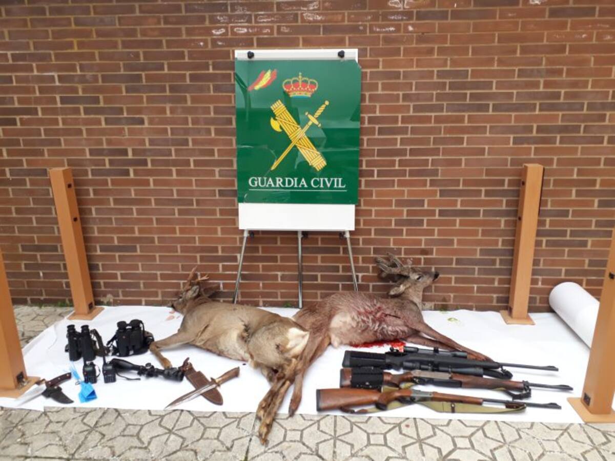 La Guardia Civil denuncia a 17 personas en un control contra el furtivismo en Almazán