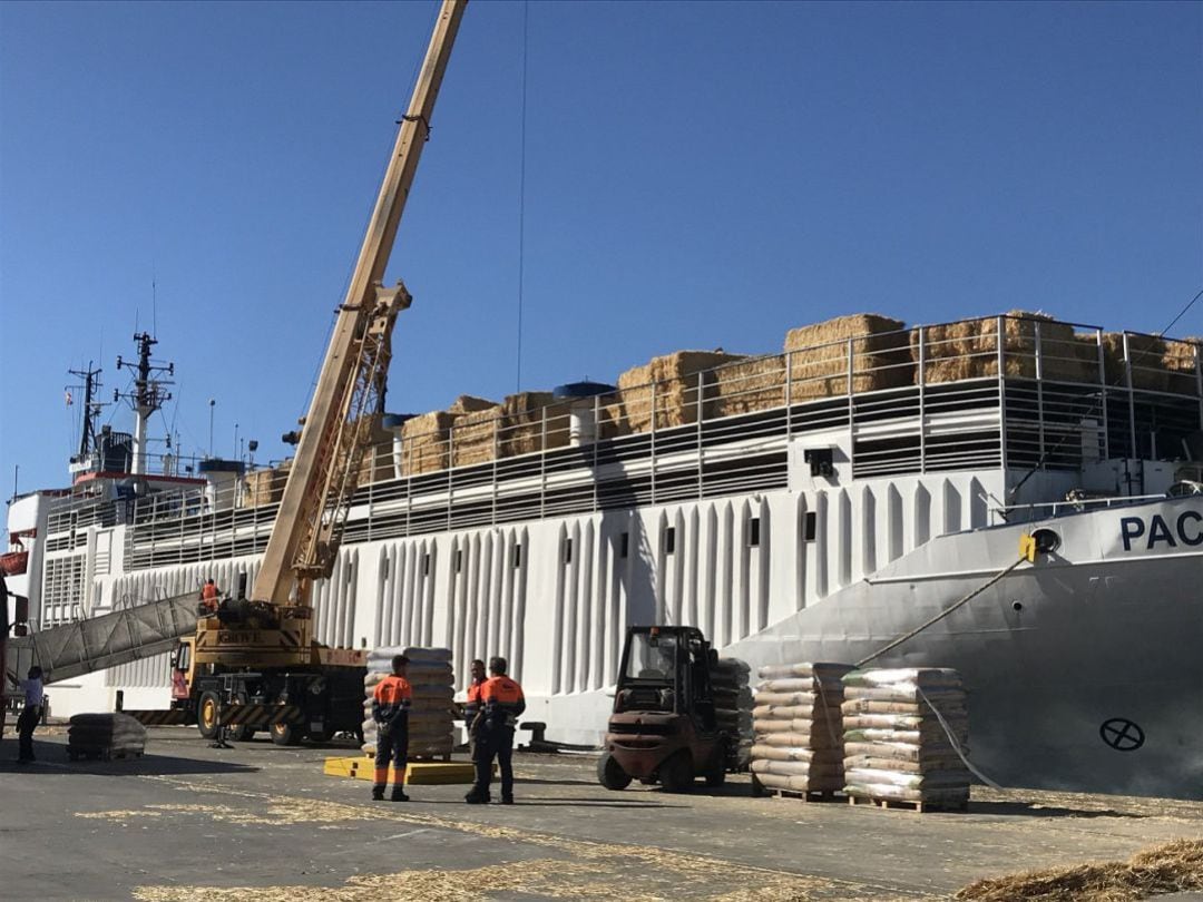 Instalaciones para el embarque de ganado en el Puerto de Cartagena