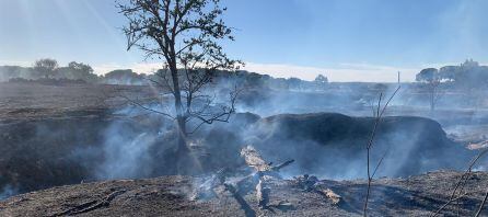 Foto de la parcela tras el fuego