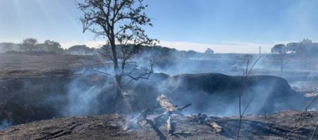 Foto de la parcela tras el fuego