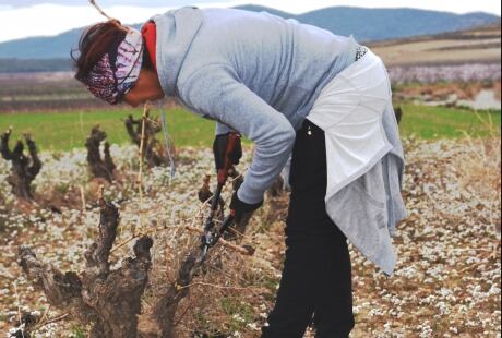 El papel de la mujer en el medio rural sigue siendo fundamental