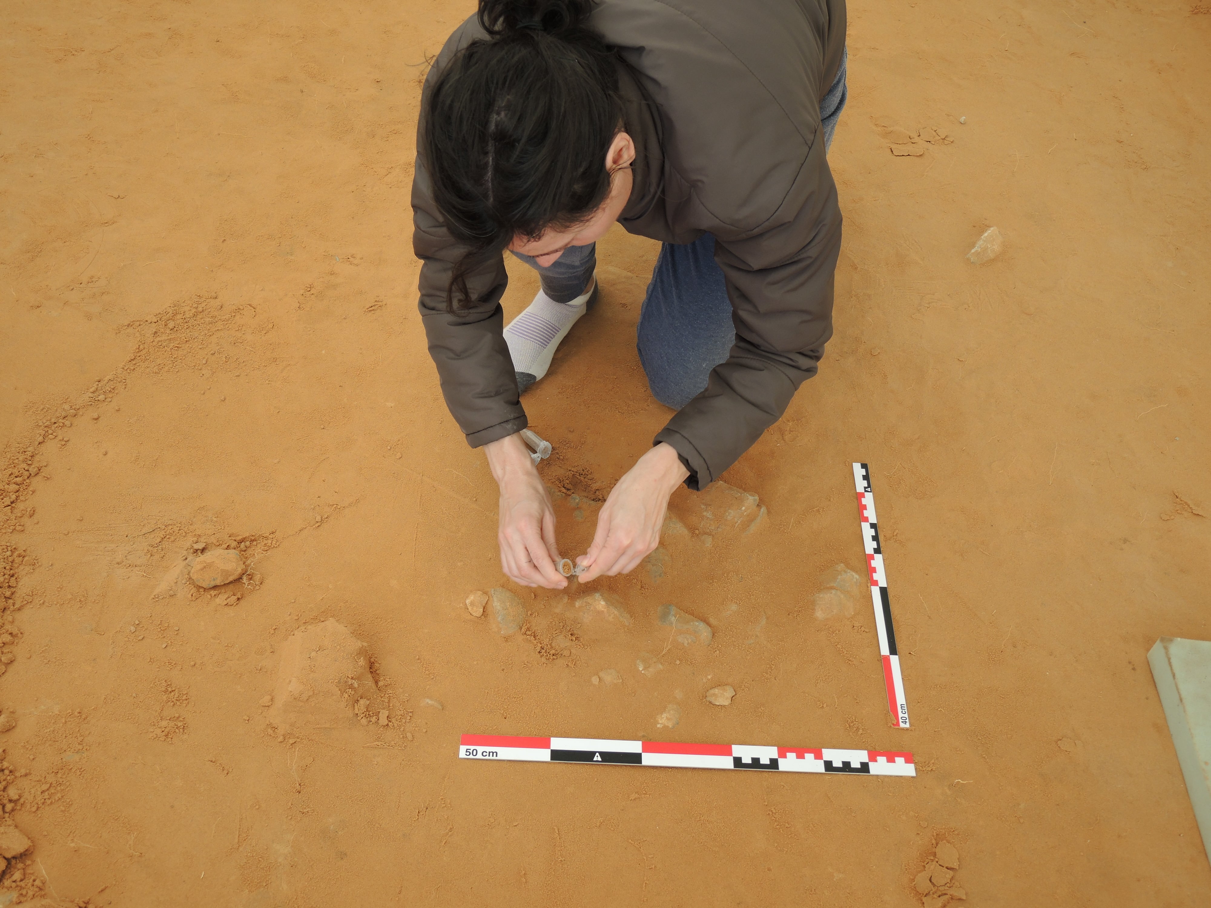 Trabajos de investigación realizados en el yacimiento del Arenal de la Virgen de Villena (Alicante).