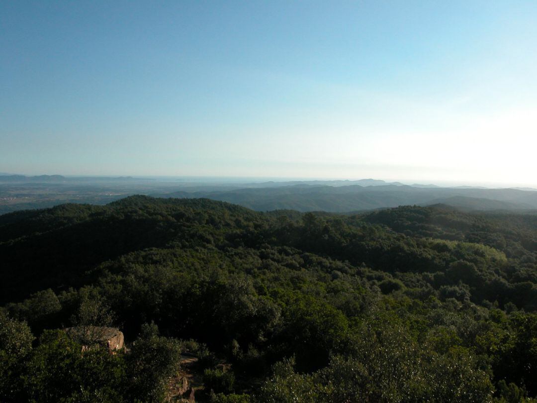 Vista des del Puig d'Arques