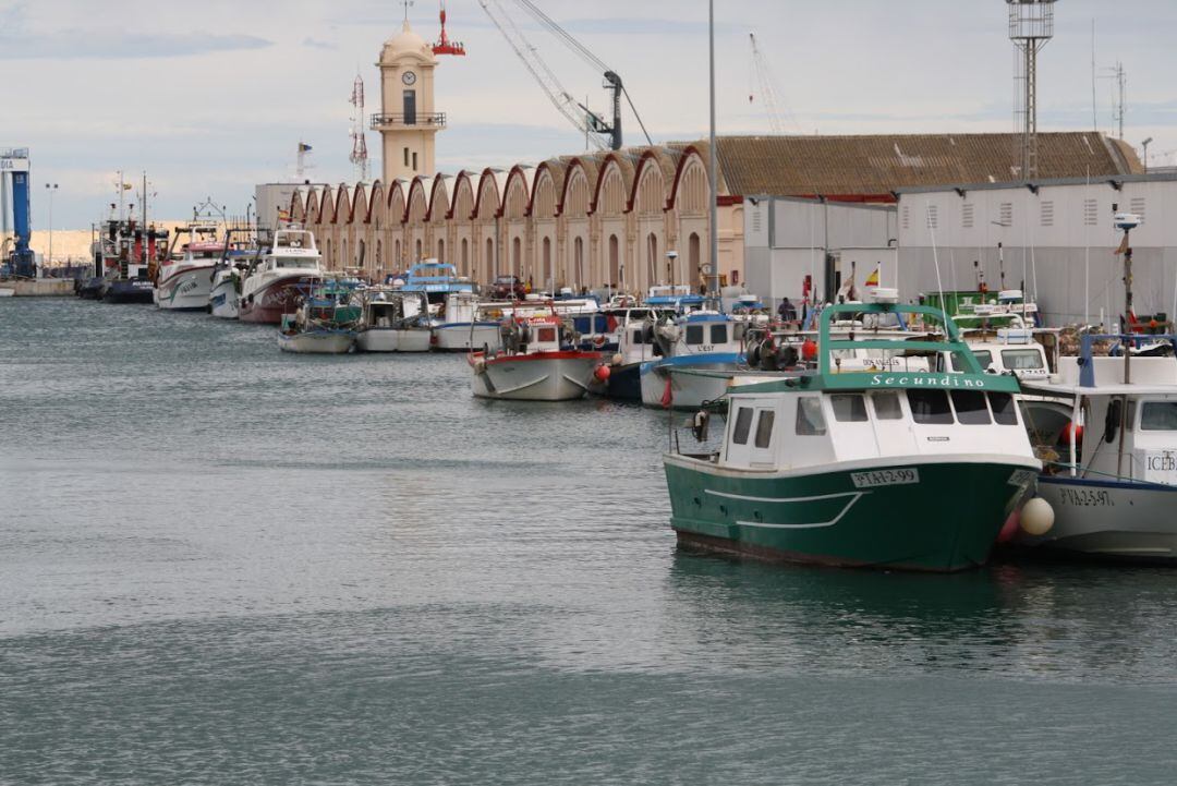 Tinglados del puerto de Gandia 