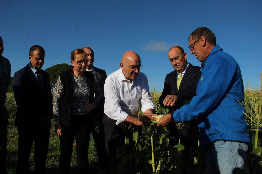 El consejero de Agricultura Jesús Julio Carnero, en un campo de maiz de El Carracillo