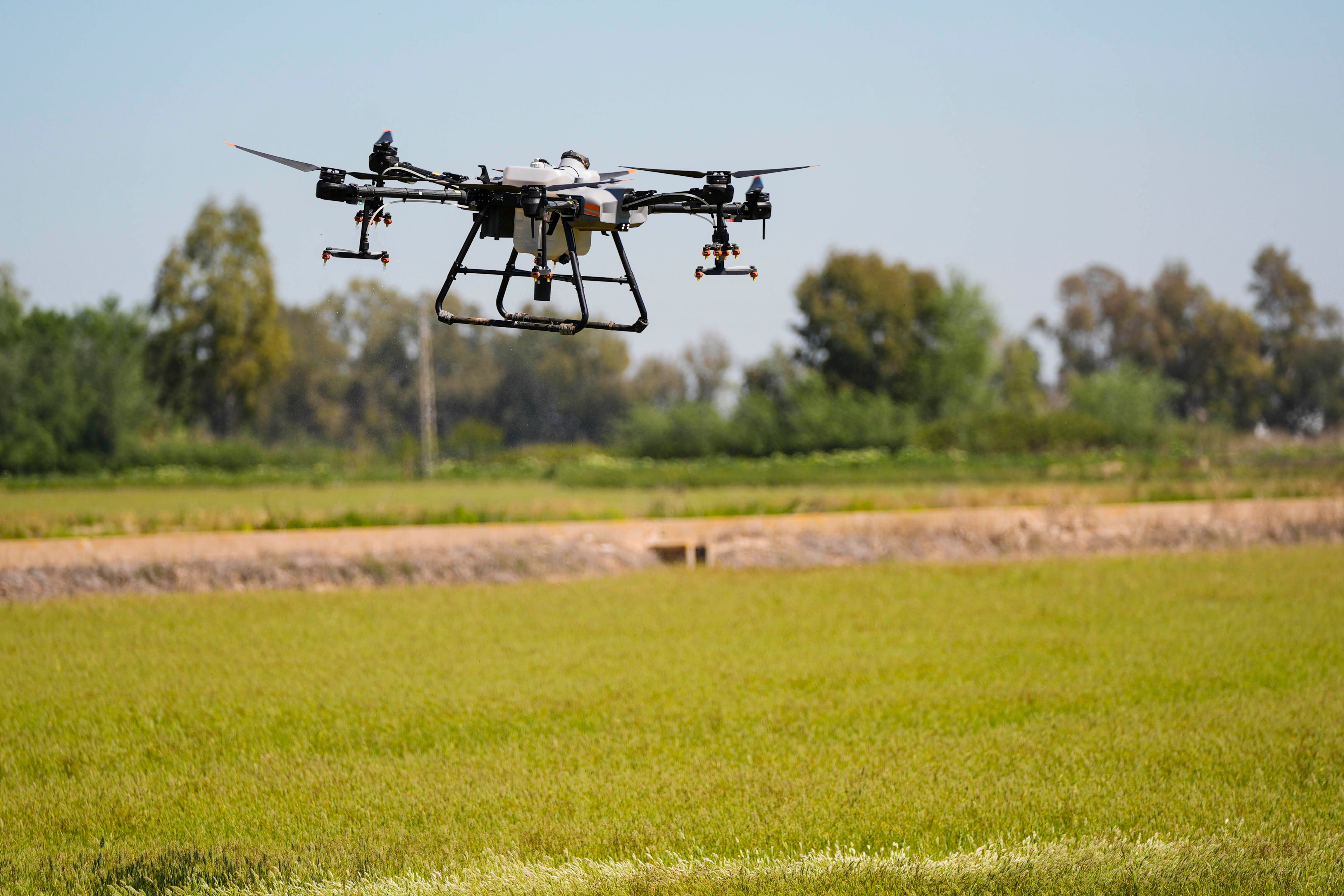 Actuación contra el Virus del Nilo en la provincia de Sevilla
