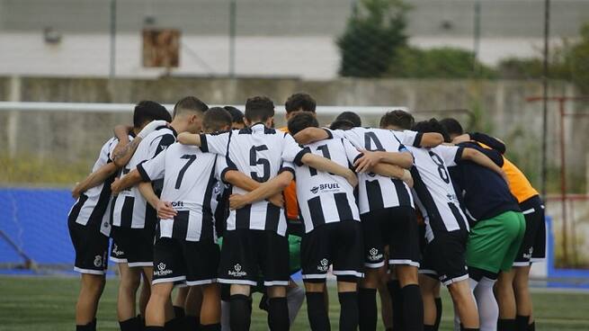 León cantera Balona