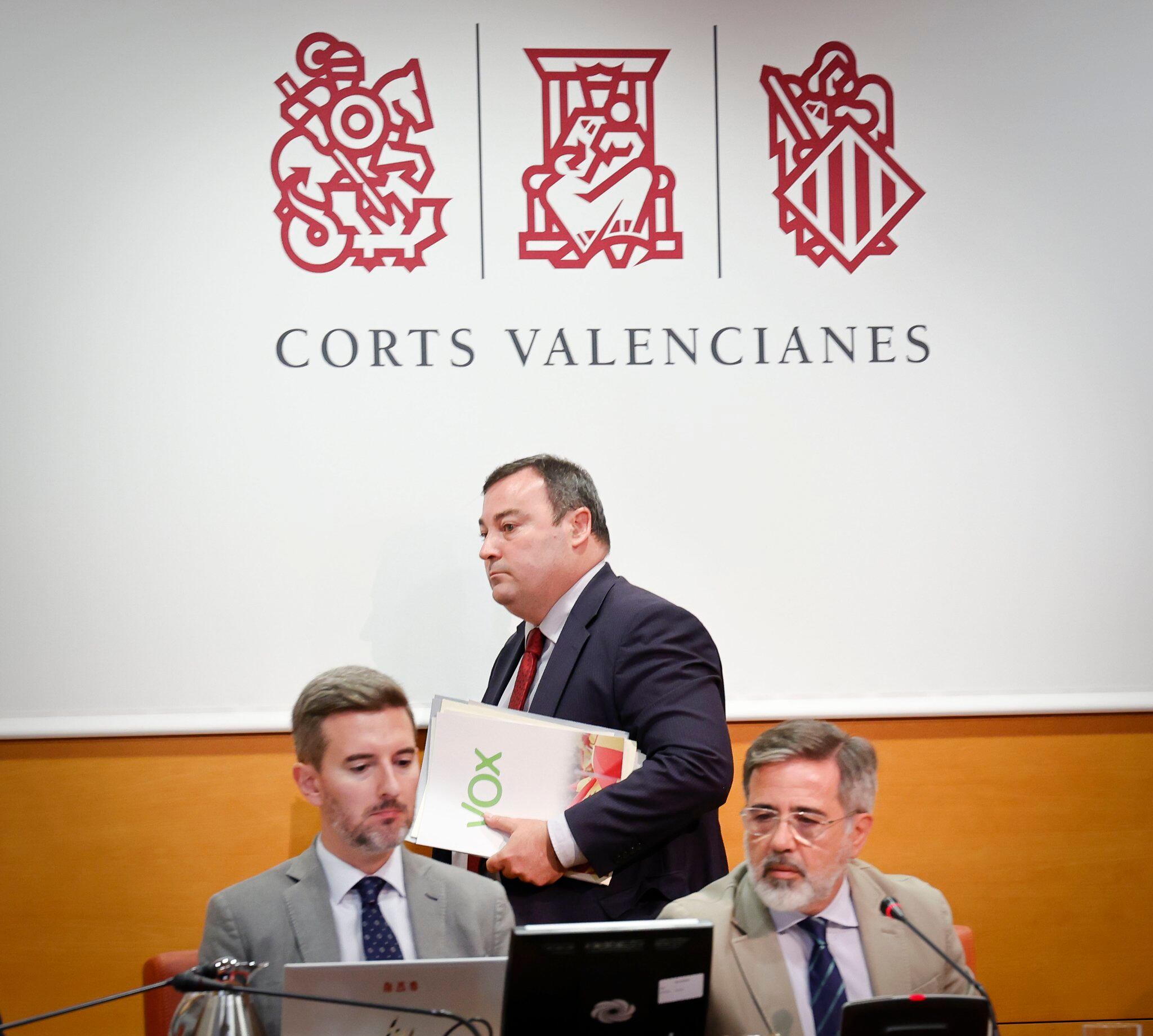 Diputación Permanente de Les Corts Valencianes.  Foto: JOSÉ CUÉLLAR/CORTS VALENCIANES