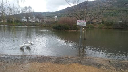 Laguna de los patos avanzando hasta zonas habitualmente transitables