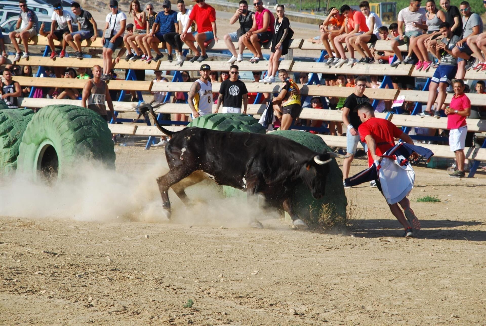 Suelta de una vaquilla en El Pinós en una imagen de archivo