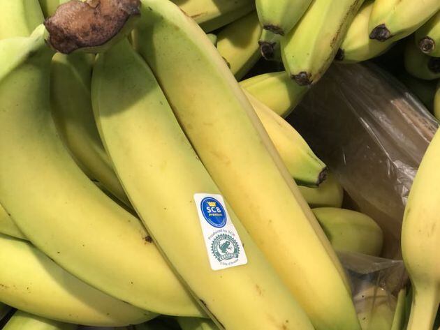 Figura 3. Venta a granel de banana con la certificación de Rainforest Alliance que verifica criterios ambientales y sociales.