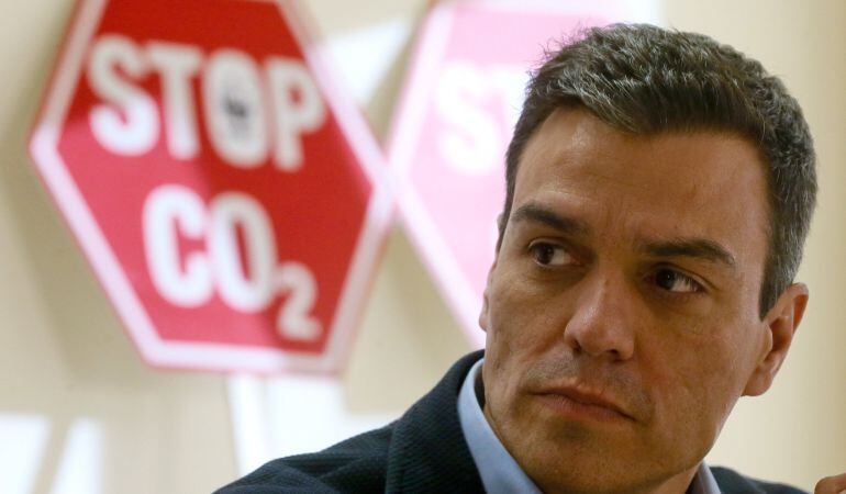 El secretario general del PSOE, Pedro Sánchez, durante la reunión con diversas organizaciones ecologistas como Greenpeace, WWF, SEO Birdlife y Ecologistas en Acción