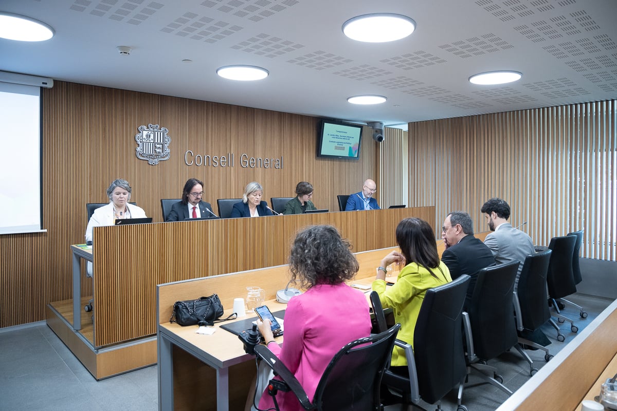 El secretari d&#039;Estat de Relacions amb l&#039;UE, Landry Riba, en seu parlamentària