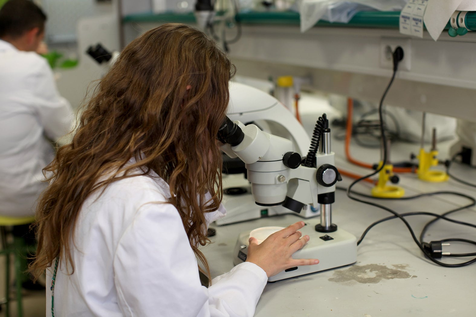 Investigadora de la Universidad de Jaén.
