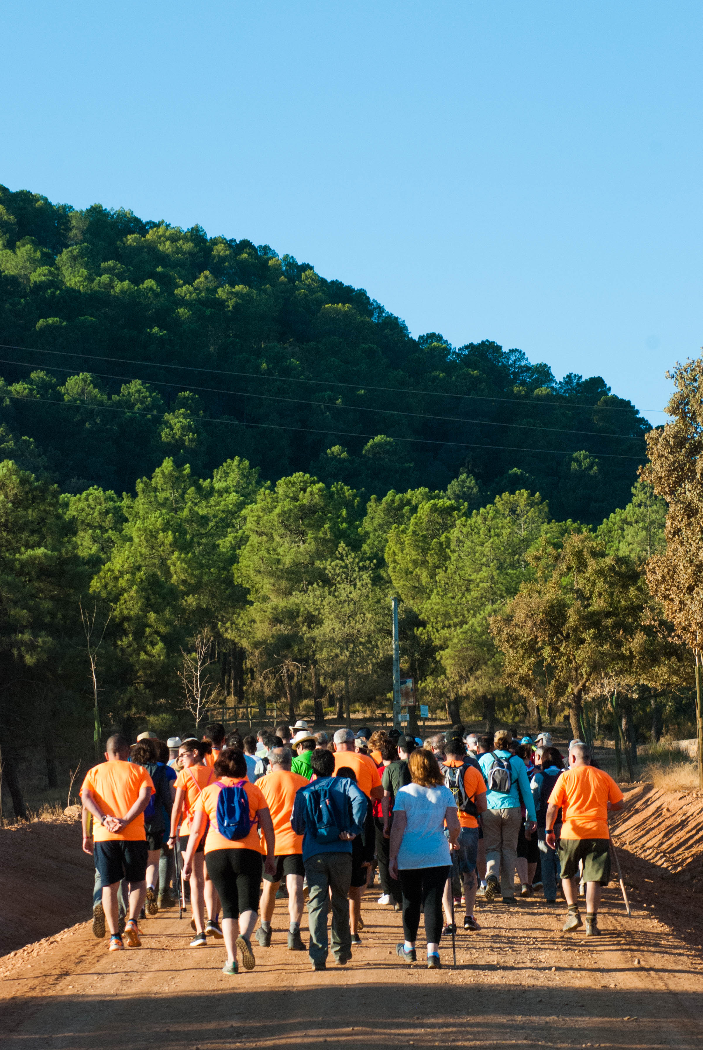 Una de las rutas programadas para Citur en ediciones anteriores por la comarca de la Siberia