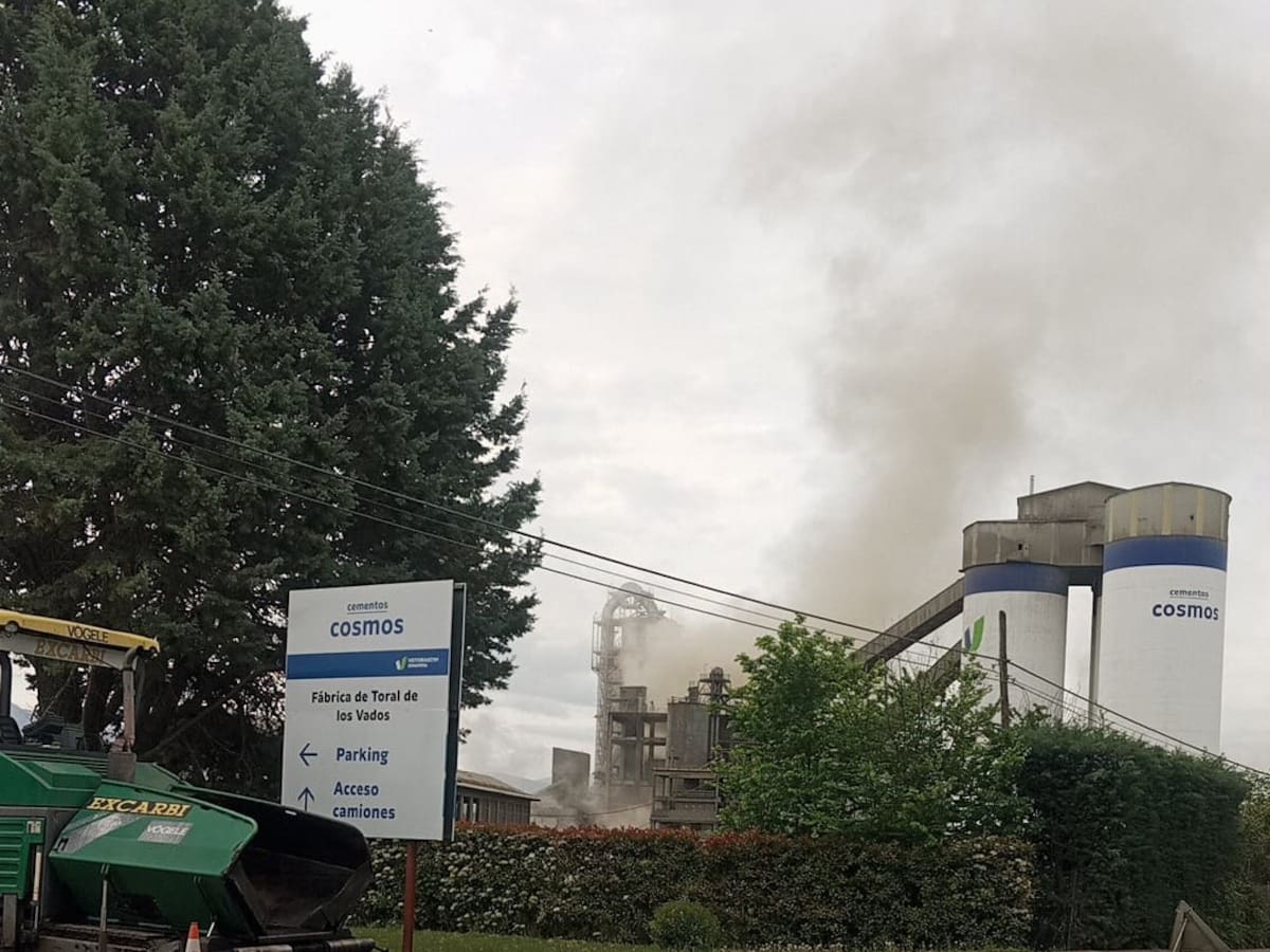 Cosmos asegura que la nube de partículas surgida en la fábrica de Toral era ceniza no contaminante