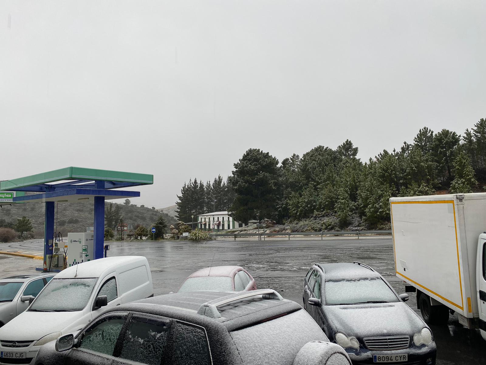 Varios coches nevados en una estación de servicio ubicada en el término municipal de Parauta