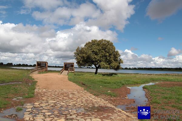 Complejo Lagunar de la Albuera