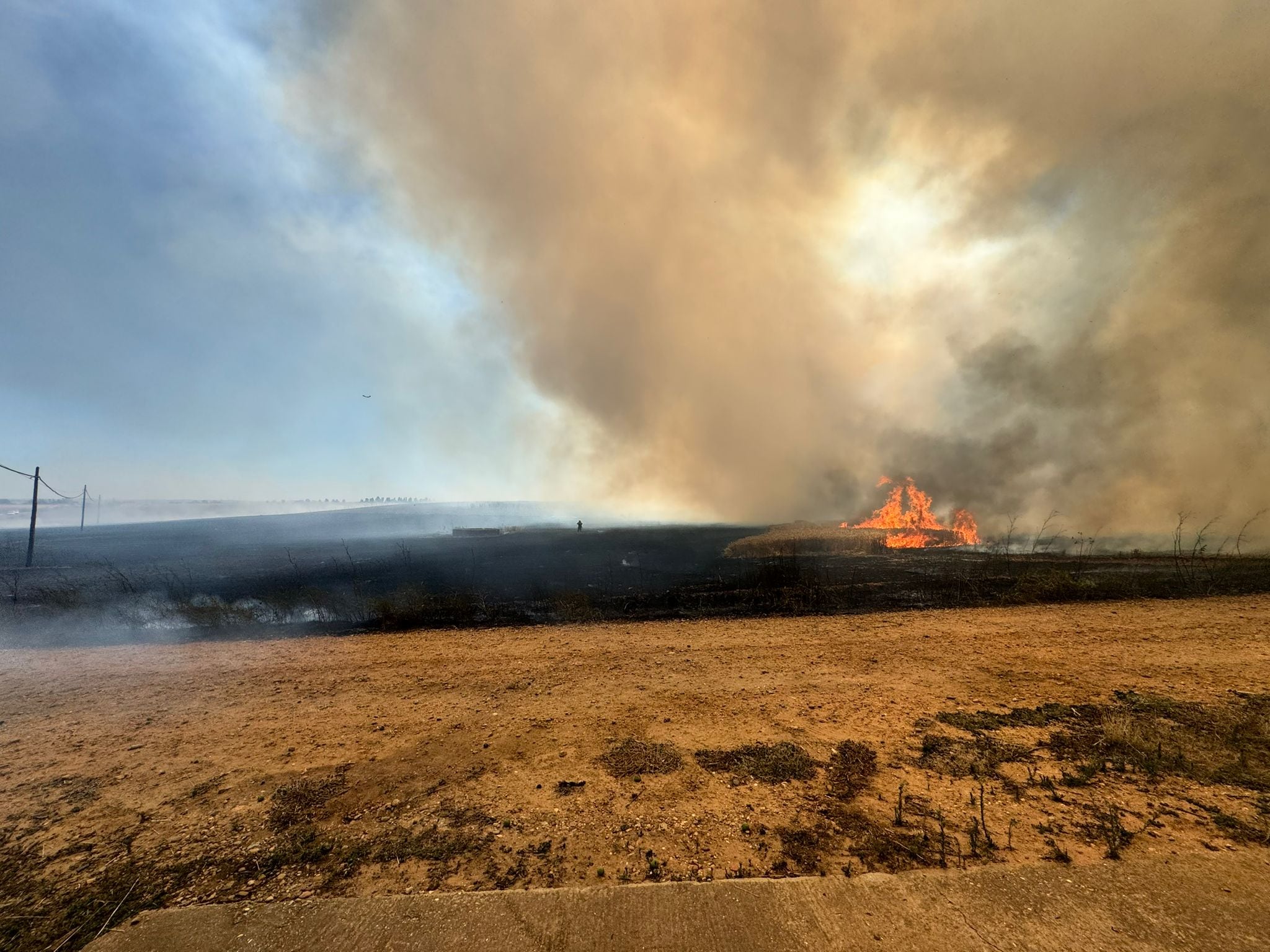 Incendio forestan en Cubillos del Pan (Zamora)