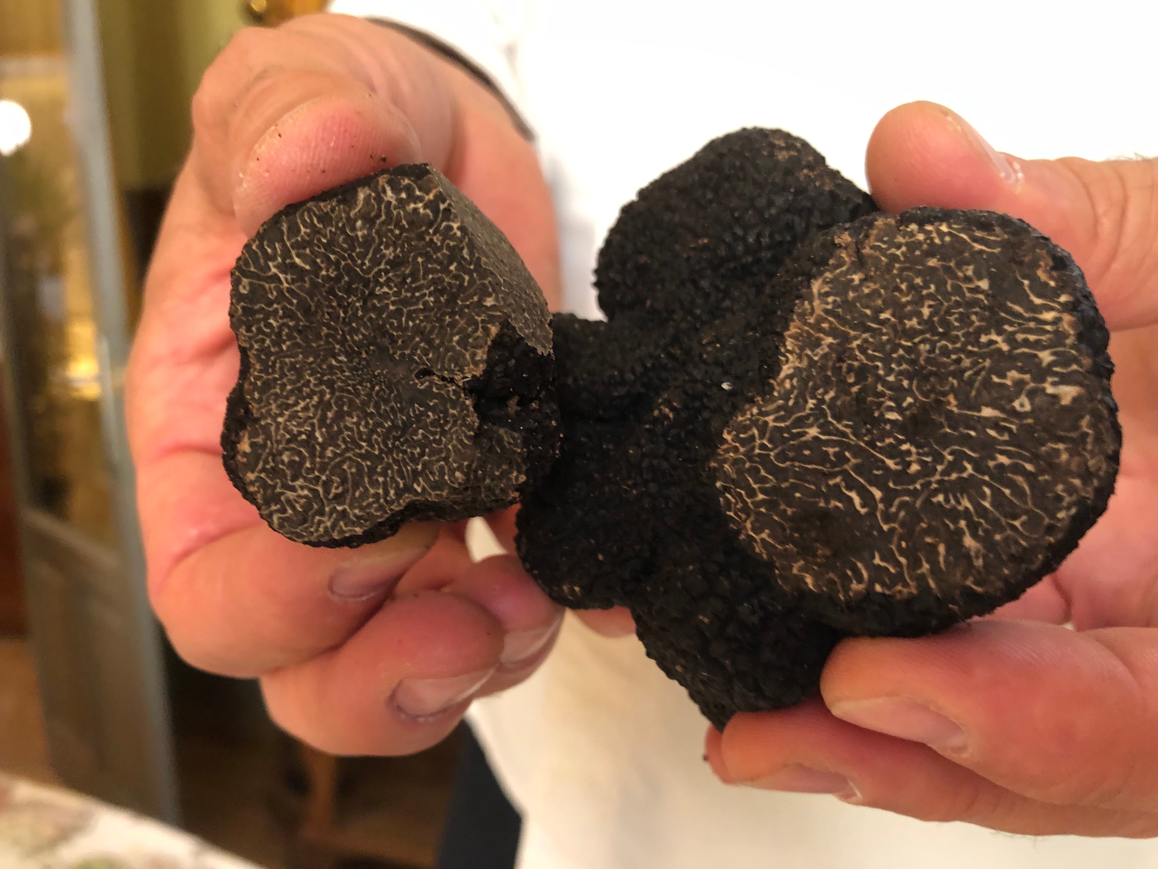 Las manos de Carmelo Bosque sostienen varias trufas en su restaurante Lillas Pastia de Huesca, Estrella Michelín y Sol Repsol