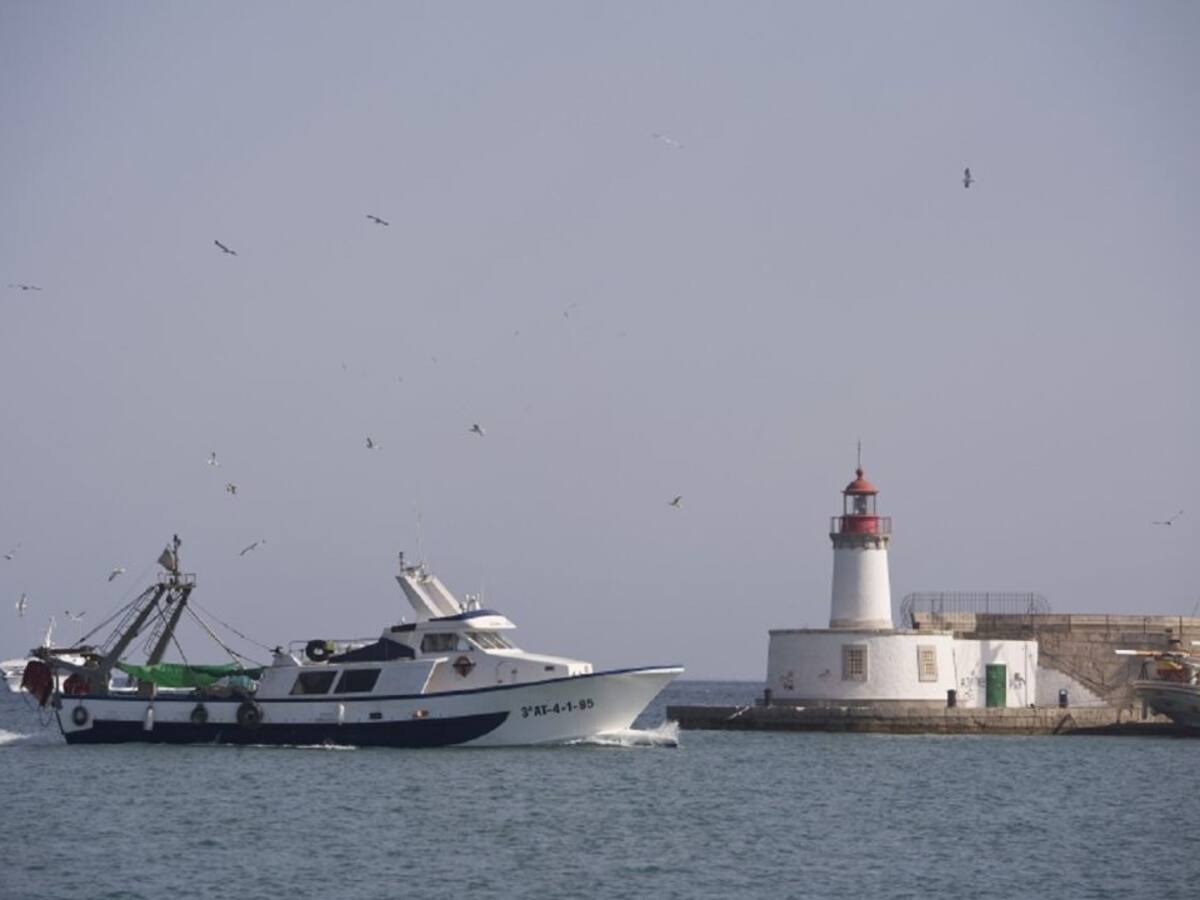 El Govern valora positivamente las restricciones a la pesca de arrastre
