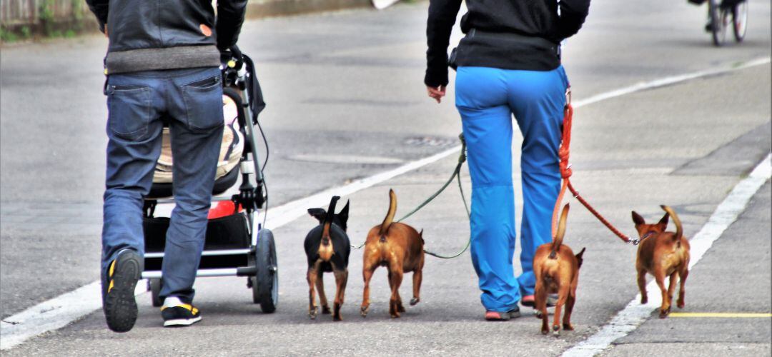 Tres Cantos por la &#039;Educación Canina&#039;