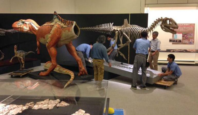 Imagen de la exposición ‘Dinosaurios maravillosos de España’.