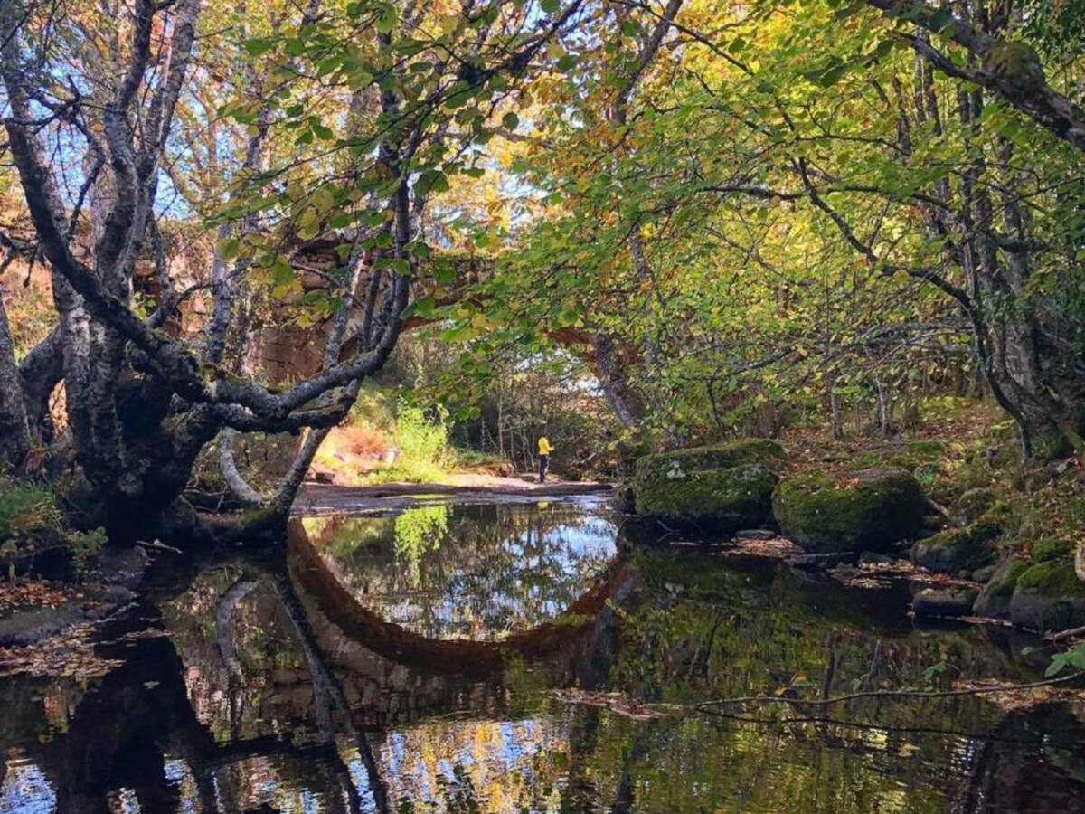 La Montaña Palentina a través de tres apasionantes rutas de senderismo