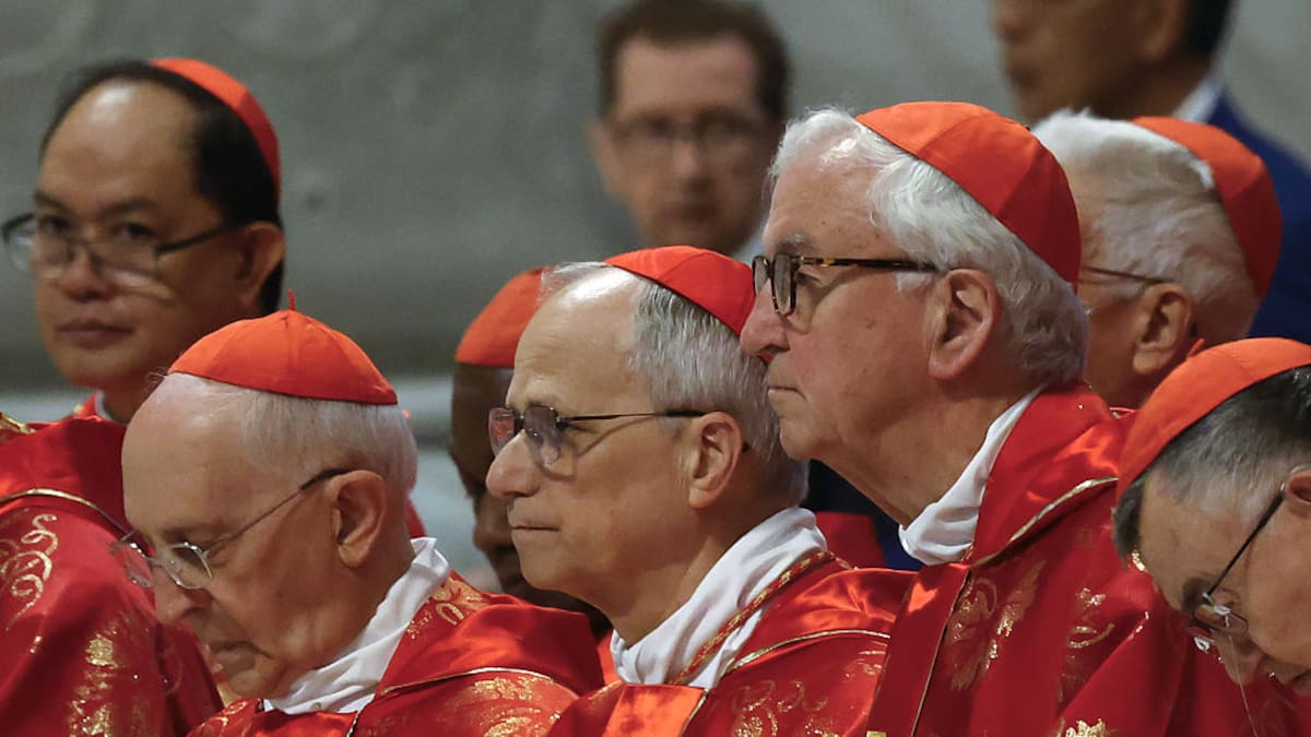 Ángel Camino, el español amigo íntimo del papa León XIV: "Roberto se ha tirado a la piscina"