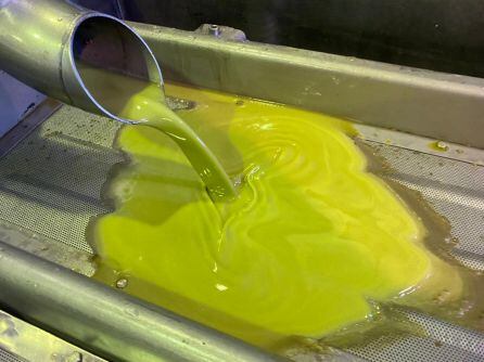 Otro momento del procesión de la extracción del primer aceite temprano de La Quinta Esencia