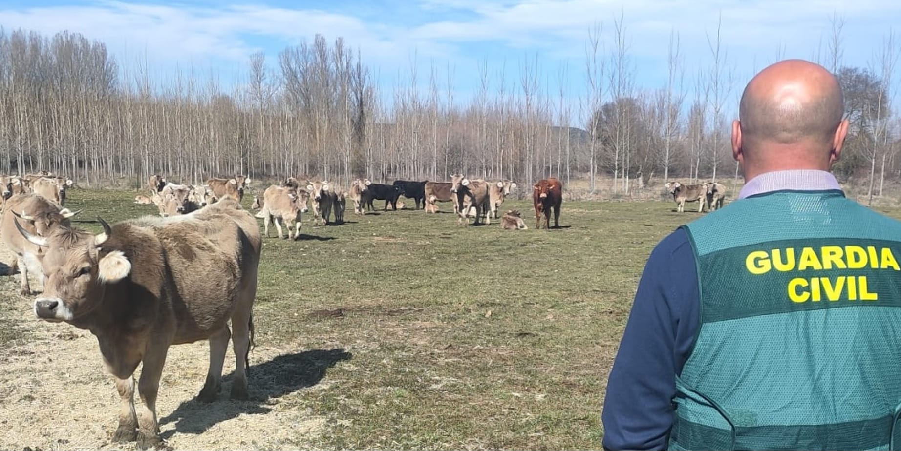 Los materiales sustraidos estaban valorados en unos 950 euros