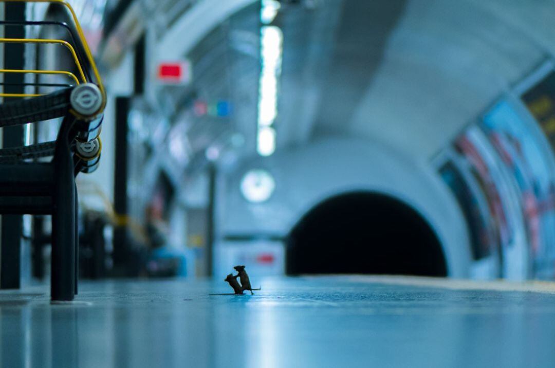 Dos ratones peleando en el metro.