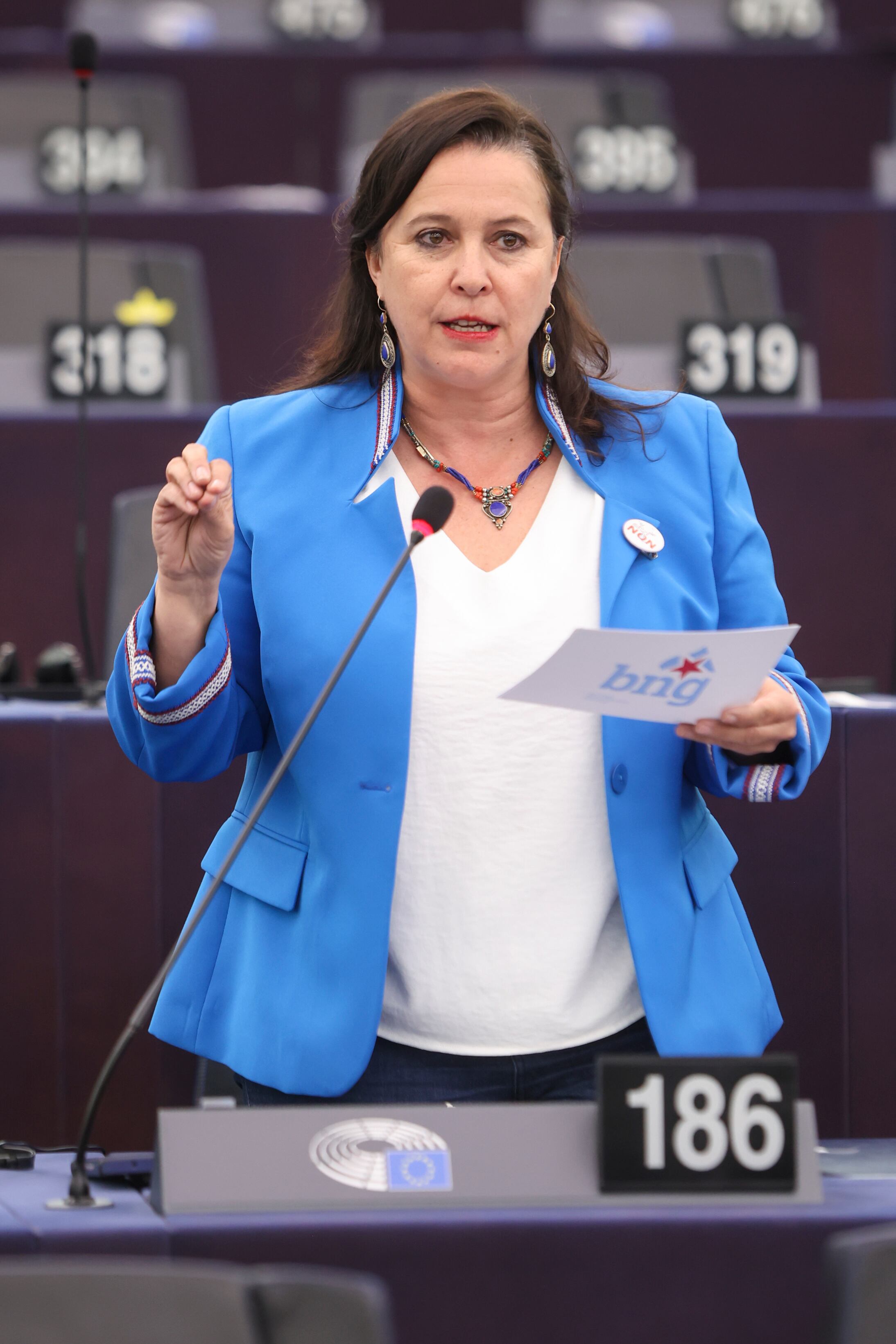 Ana Miranda, eurodiputada del BNG