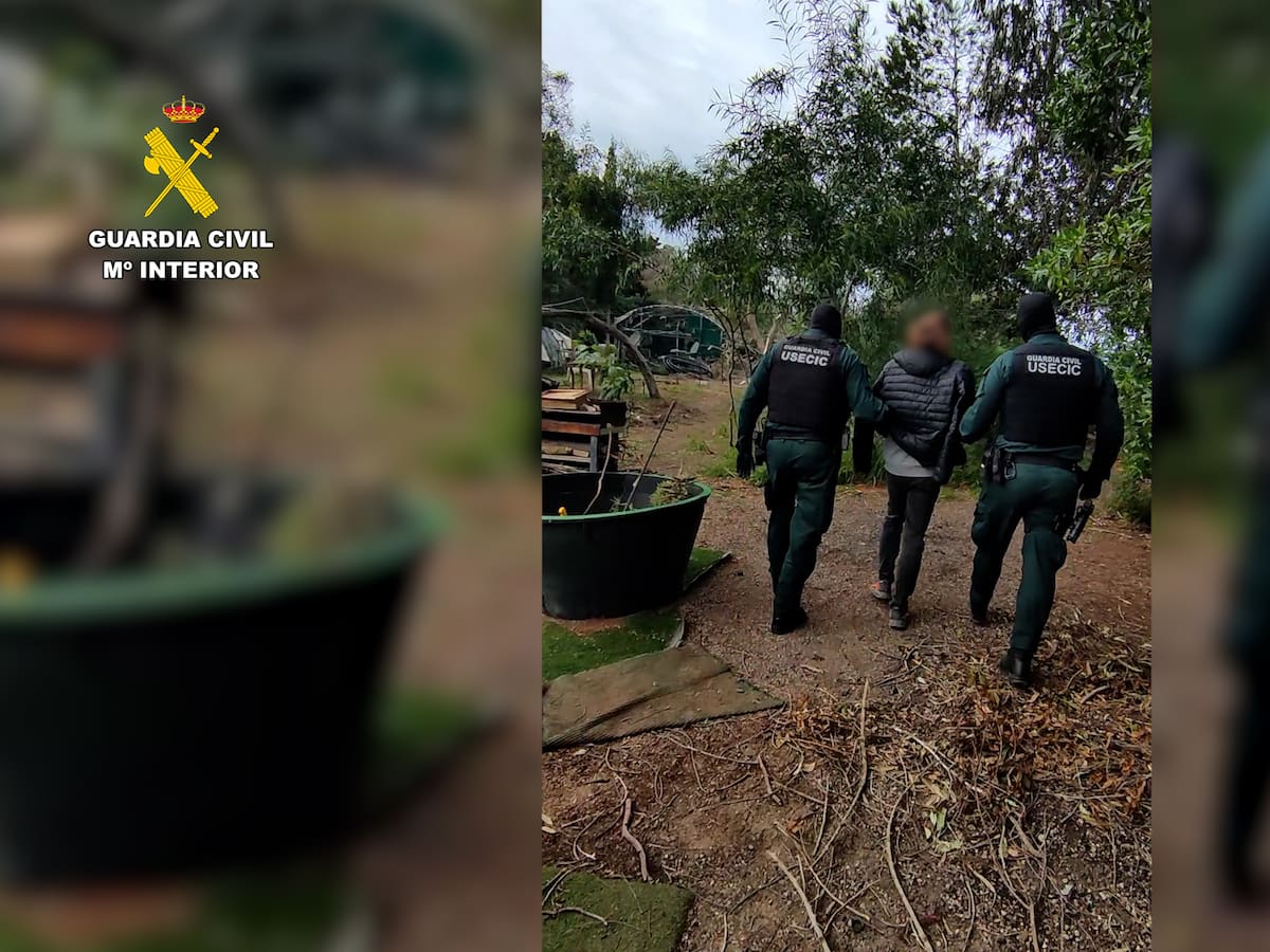 Detenidos cuatro integrantes de 'Anonymus' en España por múltiples ciberataques a organismos públicos tras la DANA