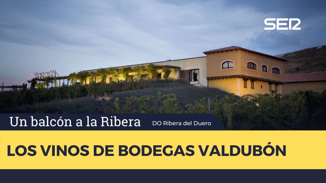 Bodegas Valdubón