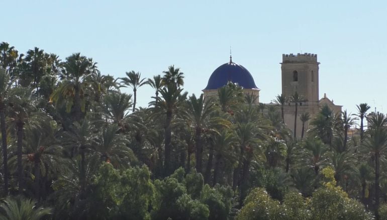 Palmeral y Basílica de Santa María