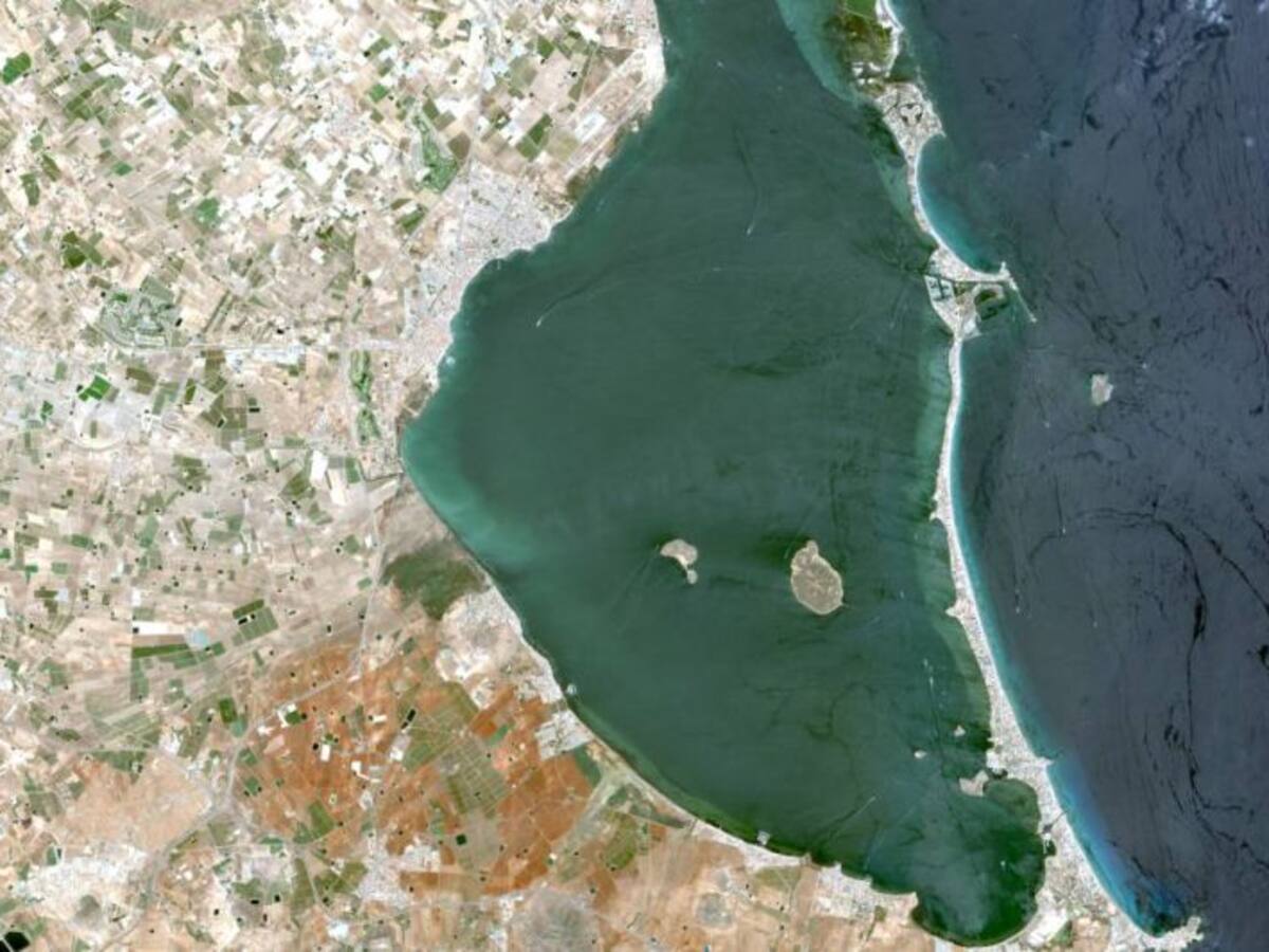 "Todo apunta a que disfrutaremos de un buen verano en el Mar Menor"