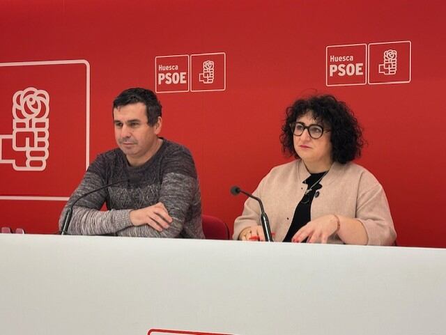 Fernando Sánchez y Gemma Betorz, diputados del PSOE en la DPH