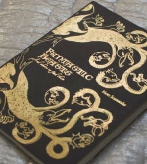 El libro de Harry Potter en el que se ha basado la nueva película de J.K Rowling.