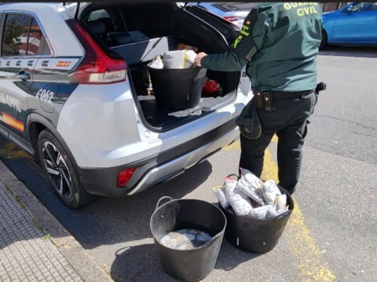 La Guardia Civil de Marín incauta 57 kilos de pulpo ilegal en el puerto deportivo de Beluso, en Bueu