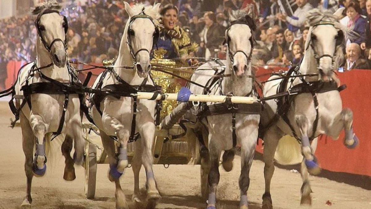 Los Pasos Blanco y Azul retransmitirán en televisión sus principales actos litúrgicos