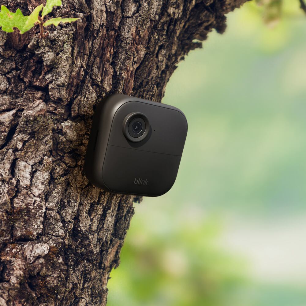 La cámara instalada en un árbol.