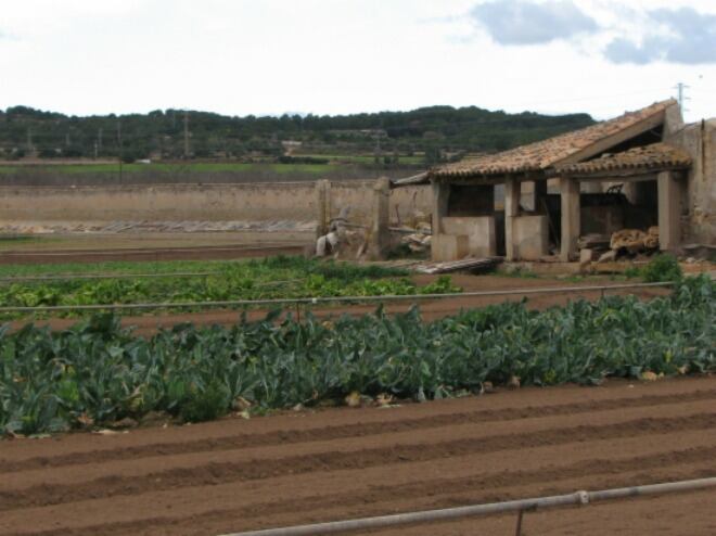 Imatge d&#039;una finca assaltada a Montroig del Camp