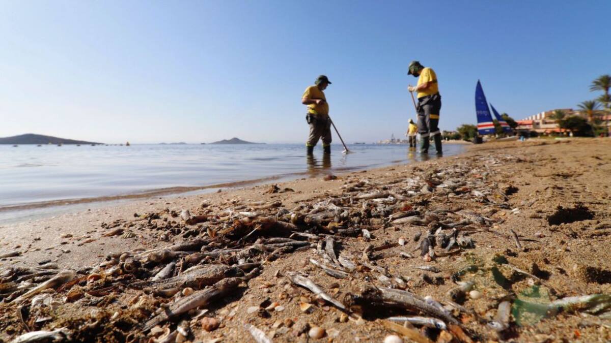 El científico que puede salvar el Mar Menor: “La solución va a partir de diferentes vertientes”