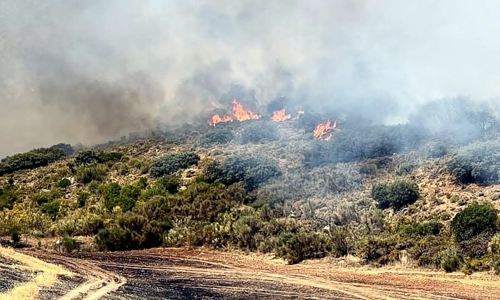 Declarado un incendio en la Sierra de las Cabras de Antequera